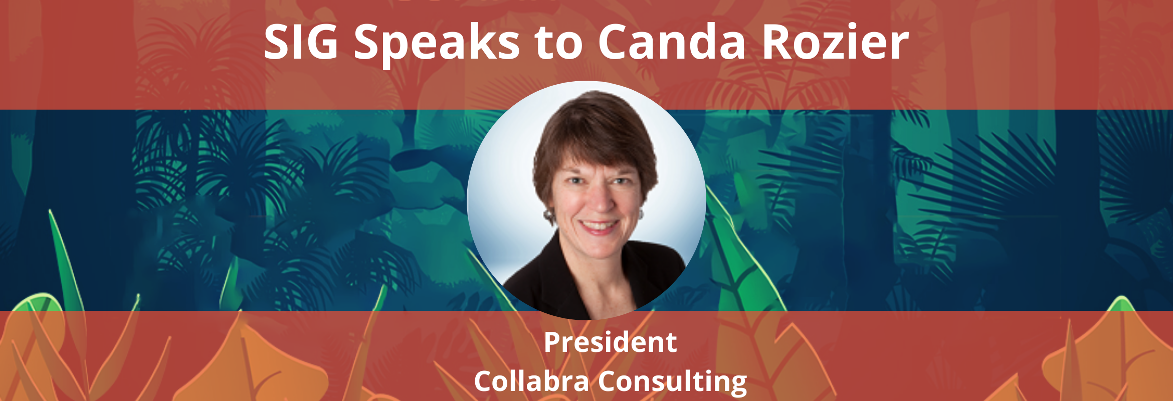 Canda Rozier is the Owner/President at Collabra Consulting